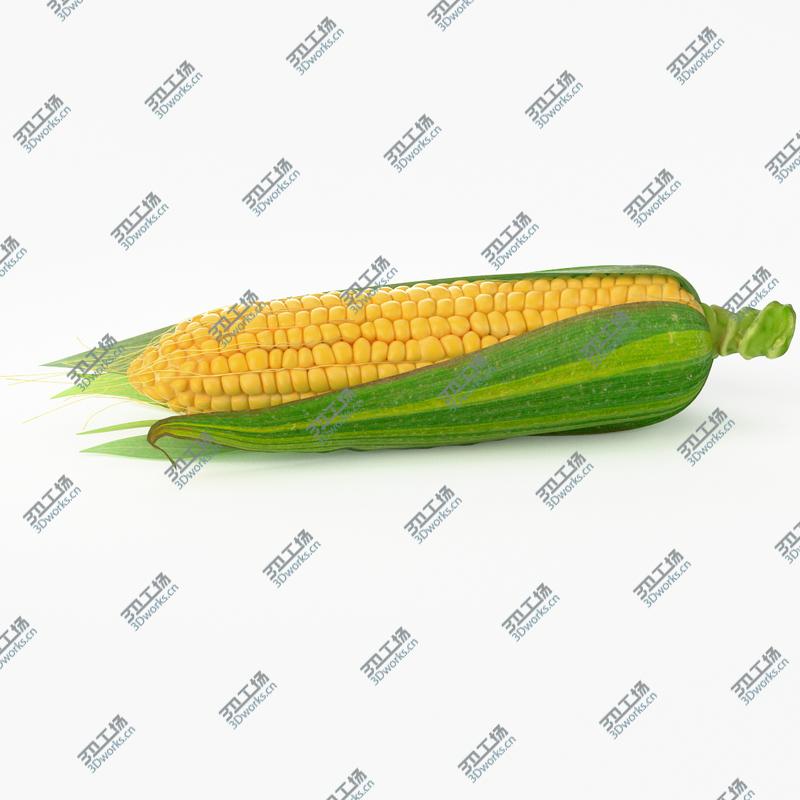 images/goods_img/2021040234/Realistic Corn/2.jpg